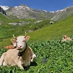 Guest With A Great View At Brunner Apartment Wengen