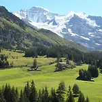 Guest With A Great View At Brunner * Wengen