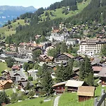 Guest With A Great View At Brunner