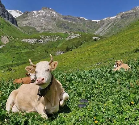 Guest With A Great View At Brunner Appartement Wengen