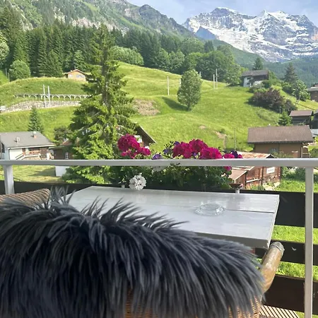 Guest With A Great View At Brunner *