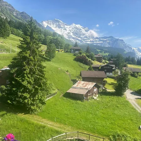 Guest With A Great View At Brunner