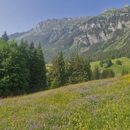 Guest With A Great View At Brunner Apartment Wengen