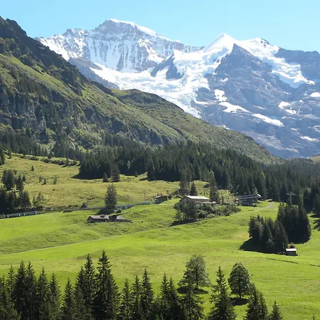 Guest With A Great View At Brunner * Wengen