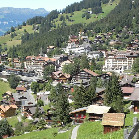 Guest With A Great View At Brunner