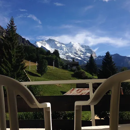Appartement Guest With A Great View At Brunner Wengen