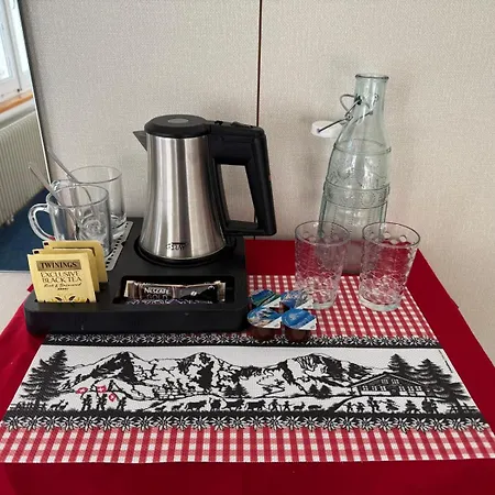 Guest With A Great View At Brunner * Wengen