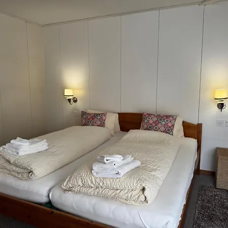 Guest With A Great View At Brunner Appartement *