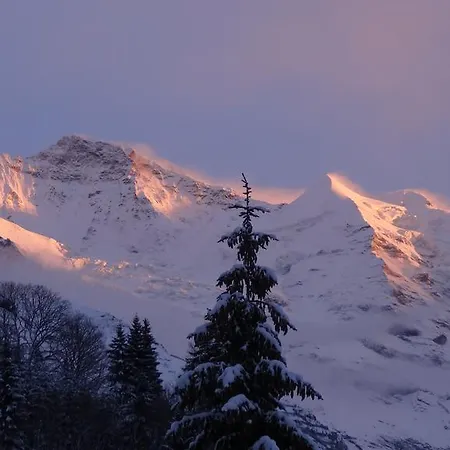 Guest With A Great View At Brunner Appartement *