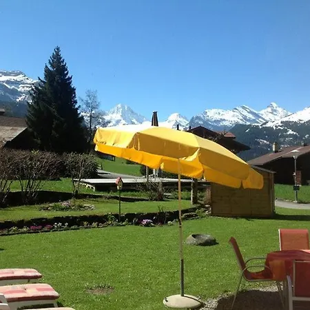 Guest With A Great View At Brunner * Wengen