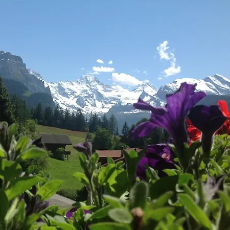 Guest With A Great View At Brunner * Wengen