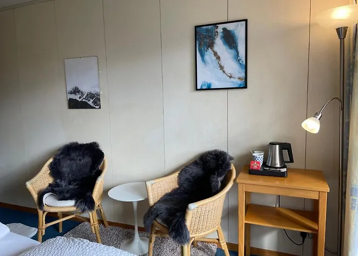 Guest With A Great View At Brunner Wengen