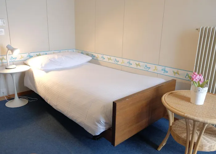 Guest With A Great View At Brunner Wengen