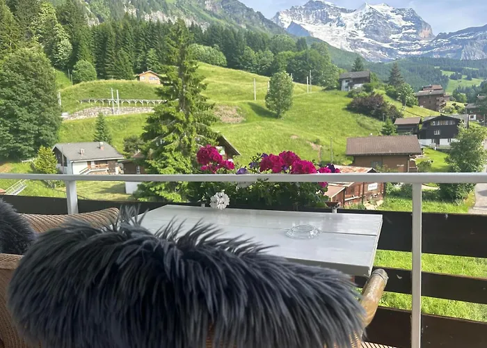 Guest With A Great View At Brunner *