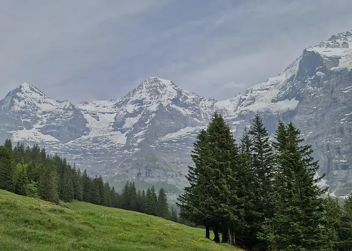 Guest With A Great View At Brunner Lejlighed *