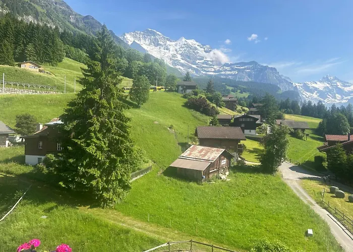 Guest With A Great View At Brunner