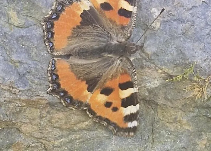 Guest With A Great View At Brunner Lejlighed *