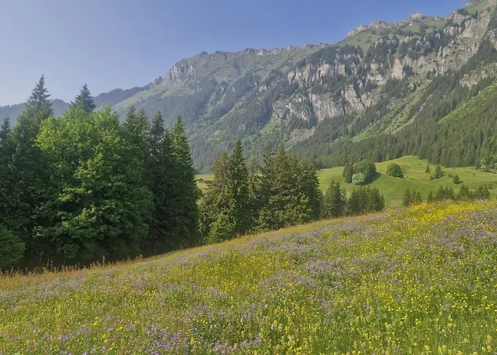 Guest With A Great View At Brunner Lejlighed Wengen