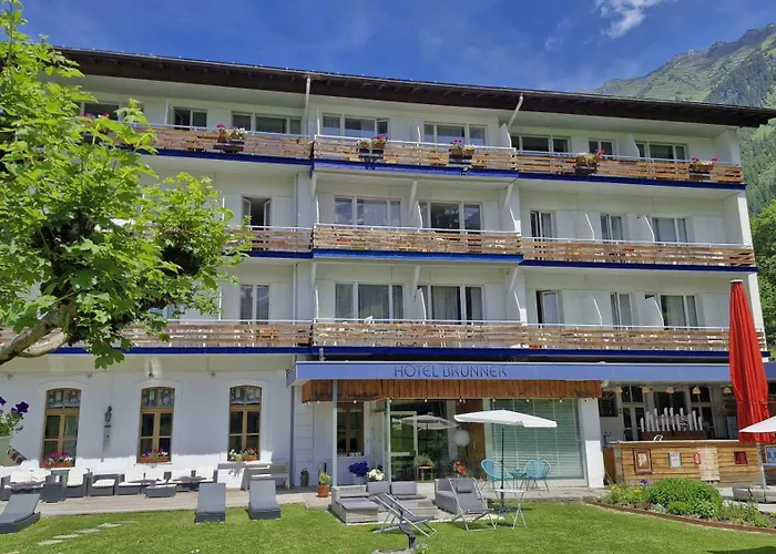 Guest With A Great View At Brunner Wengen