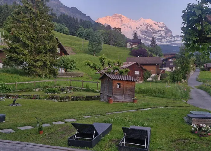 Guest With A Great View At Brunner