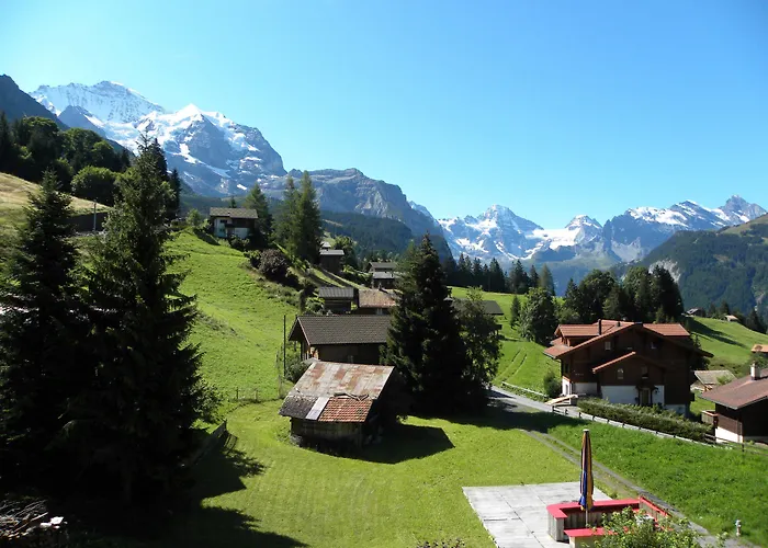 Guest With A Great View At Brunner