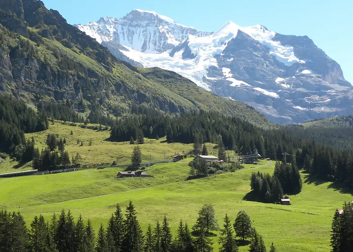 Guest With A Great View At Brunner * Wengen