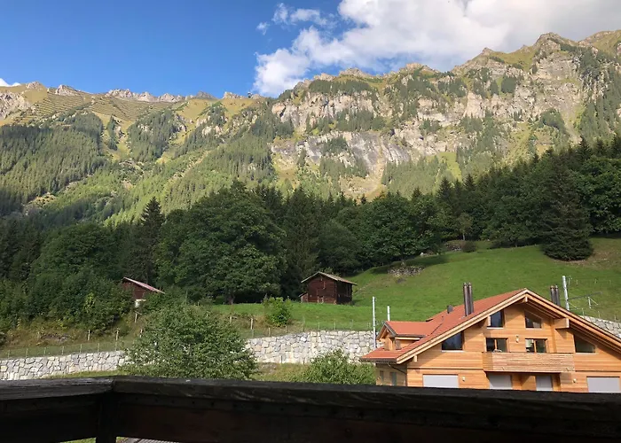 Guest With A Great View At Brunner