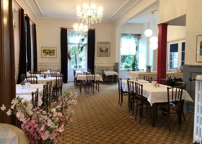 Guest With A Great View At Brunner Wengen