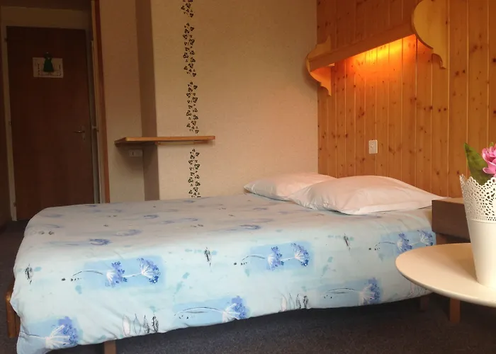 Guest With A Great View At Brunner *