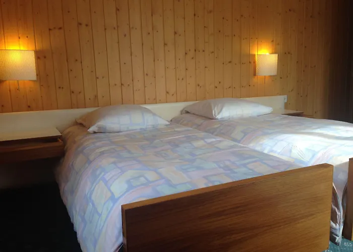 Guest With A Great View At Brunner