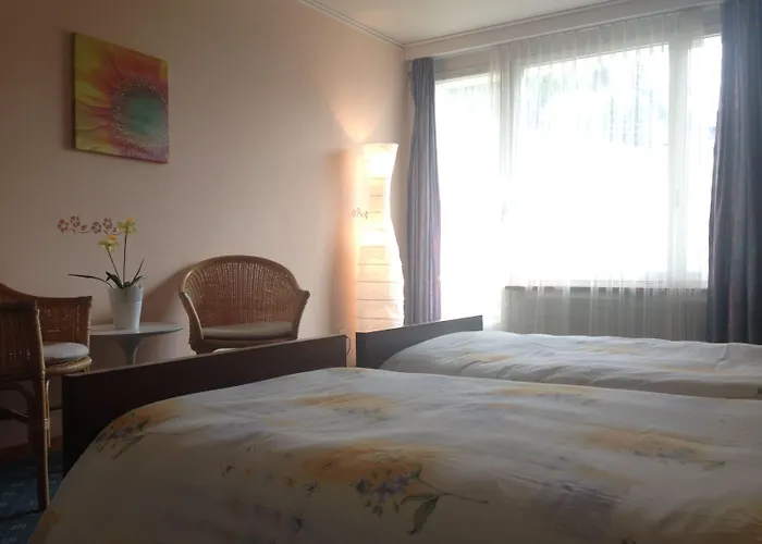 Guest With A Great View At Brunner *