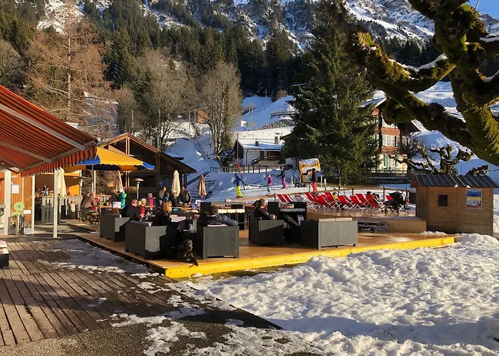 Guest With A Great View At Brunner