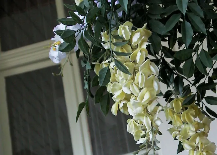 Διαμέρισμα Guest With A Great View At Brunner Βένγκεν