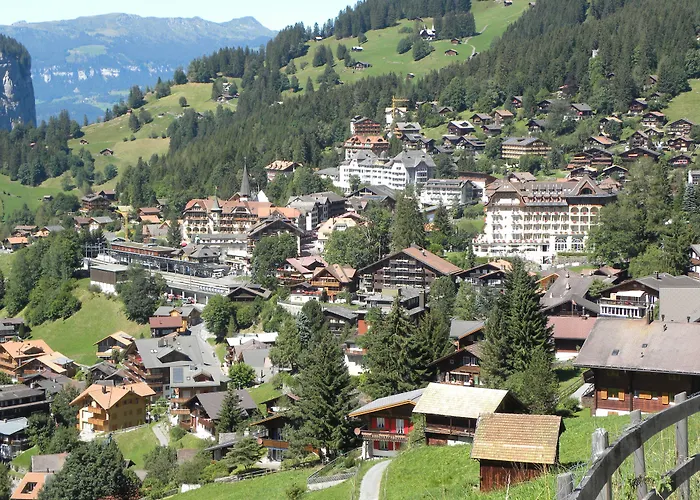 Guest With A Great View At Brunner