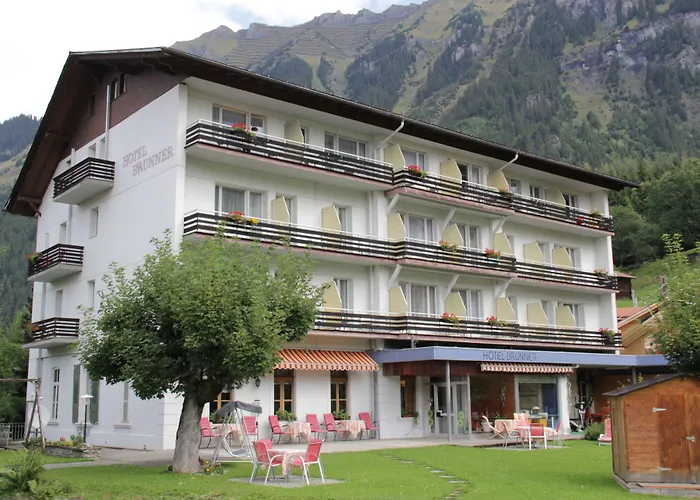 Guest With A Great View At Brunner Wengen