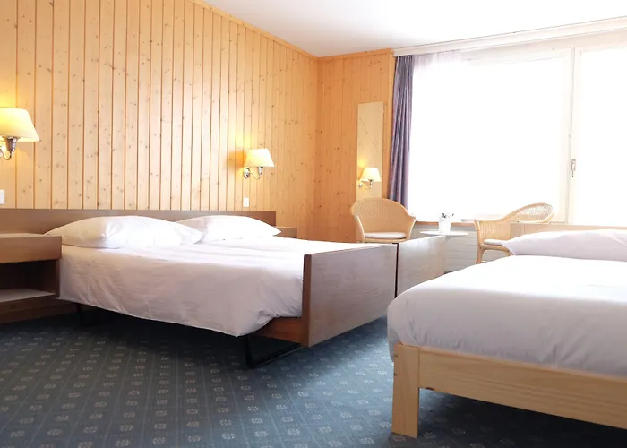 Guest With A Great View At Brunner *