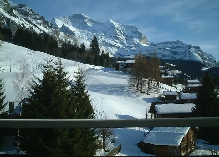 Guest With A Great View At Brunner *