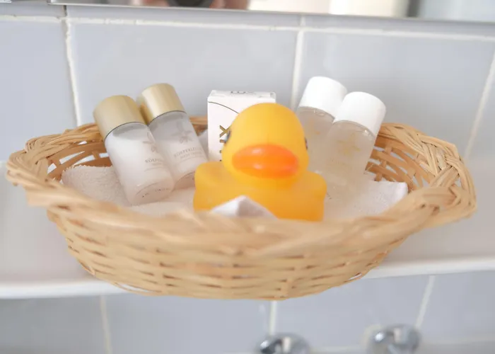 Guest With A Great View At Brunner