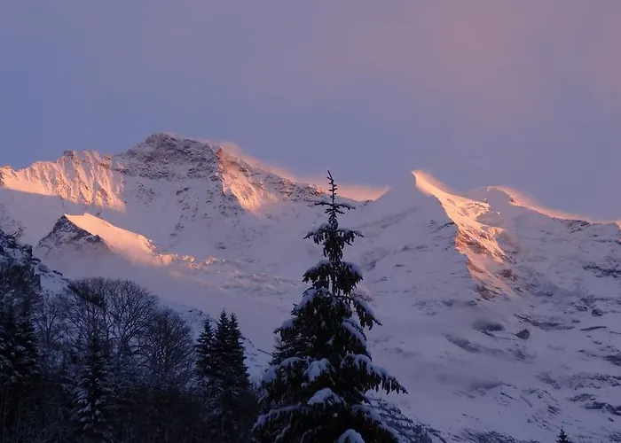 Guest With A Great View At Brunner Lejlighed *