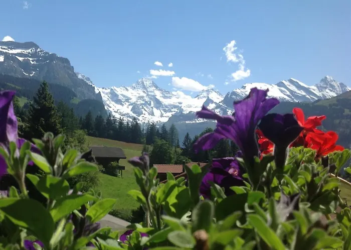 Guest With A Great View At Brunner * Βένγκεν