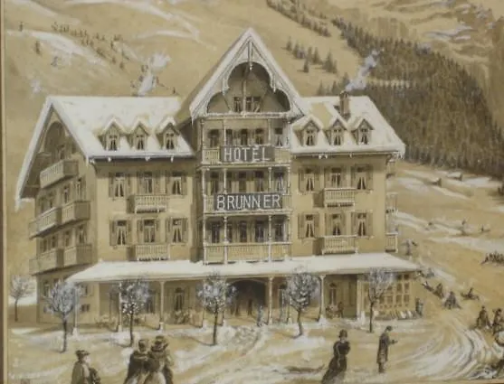 Guest With A Great View At Brunner