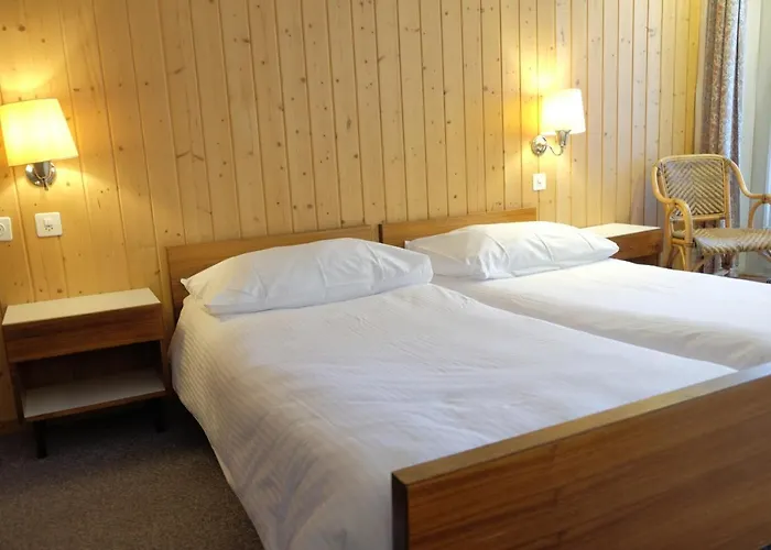 Guest With A Great View At Brunner * Wengen