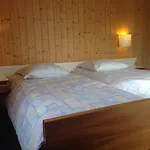 Guest With A Great View At Brunner