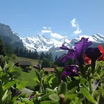 Guest With A Great View At Brunner * Wengen