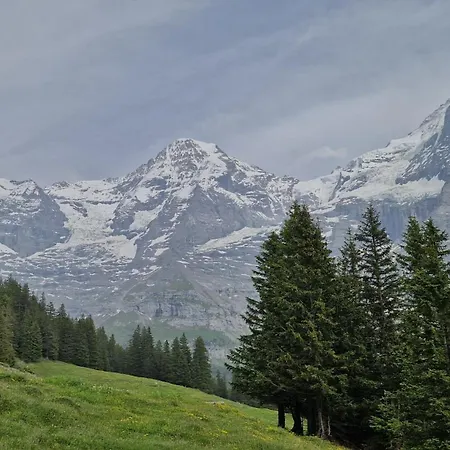 Guest With A Great View At Brunner Apartament *