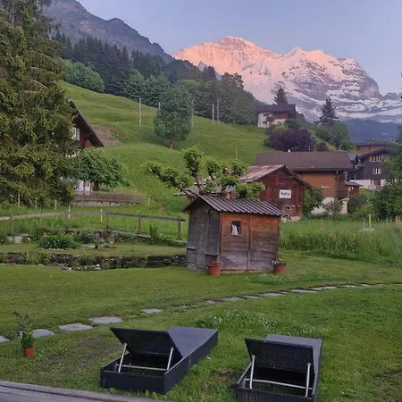 Guest With A Great View At Brunner