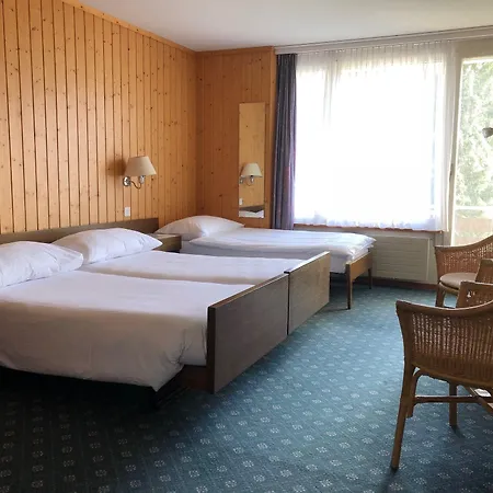 Guest With A Great View At Brunner * Wengen