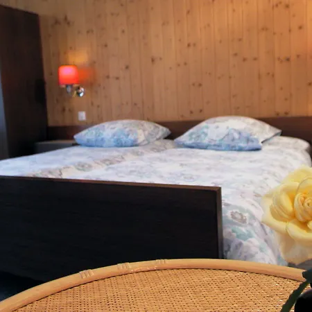 Guest With A Great View At Brunner Apartament Wengen