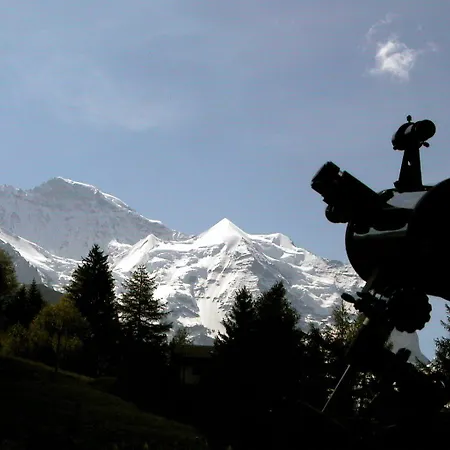 Guest With A Great View At Brunner *