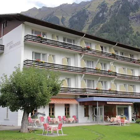 Guest With A Great View At Brunner Wengen